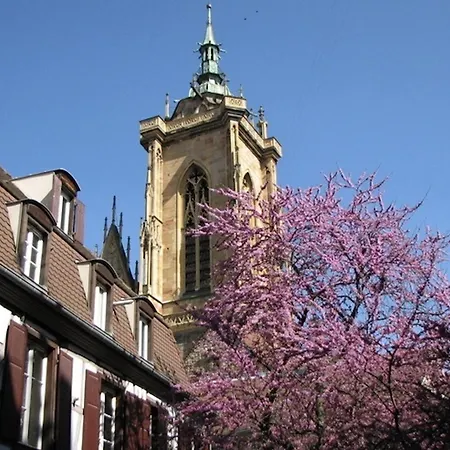 Le Nid De La Cathedrale