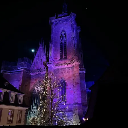 Le Nid De La Cathedrale Lejlighed
