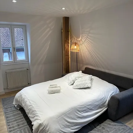 Le Nid De La Cathedrale * Colmar