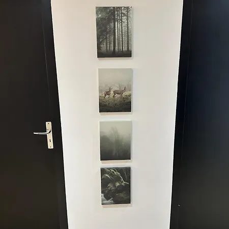 Daire Le Nid De La Cathedrale Colmar