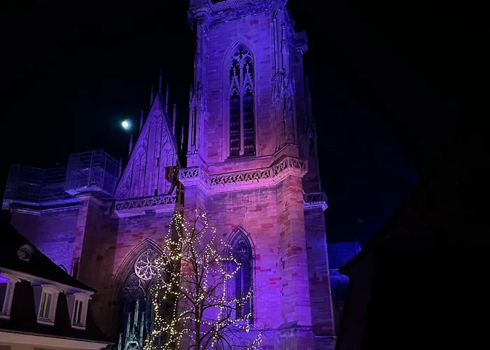 Le Nid De La Cathedrale Daire
