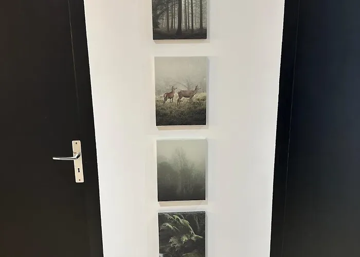 Apartment Le Nid De La Cathedrale Colmar